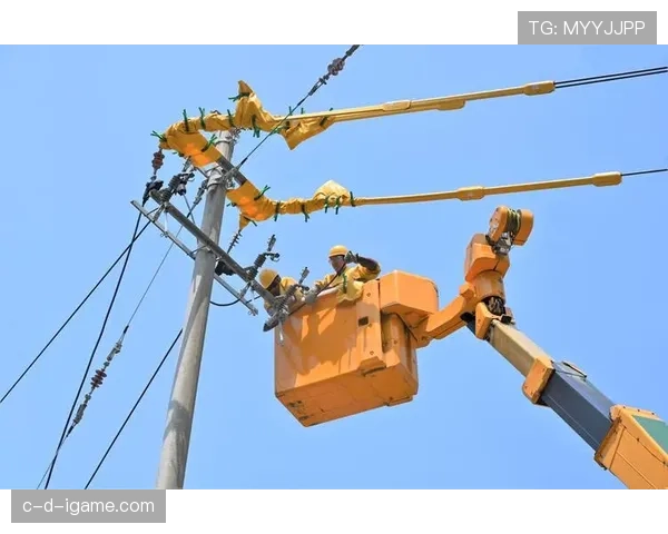 布鲁日中路渗透现象凸显城市基础设施新挑战，专家呼吁加强应对策略