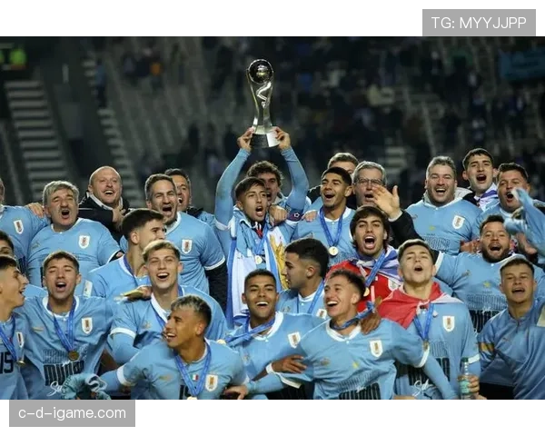 乌拉圭队控球强势攻防均衡,表现引人关注 乌拉圭队控球强势攻防均衡,表现引人关注