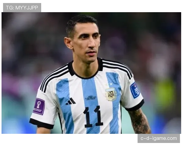 安赫尔·迪马利亚:2014世界杯决赛伤缺对阿根廷影响解析 安赫尔·迪马利亚:2014世界杯决赛伤缺对阿根廷影响解析