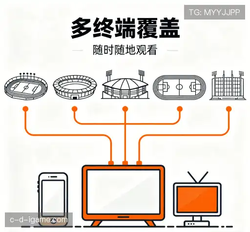 我们的竞争优势